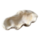 Vintage clam shell