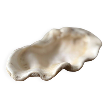 Vintage clam shell