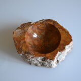 Empty pocket or ashtray in fossilized wood