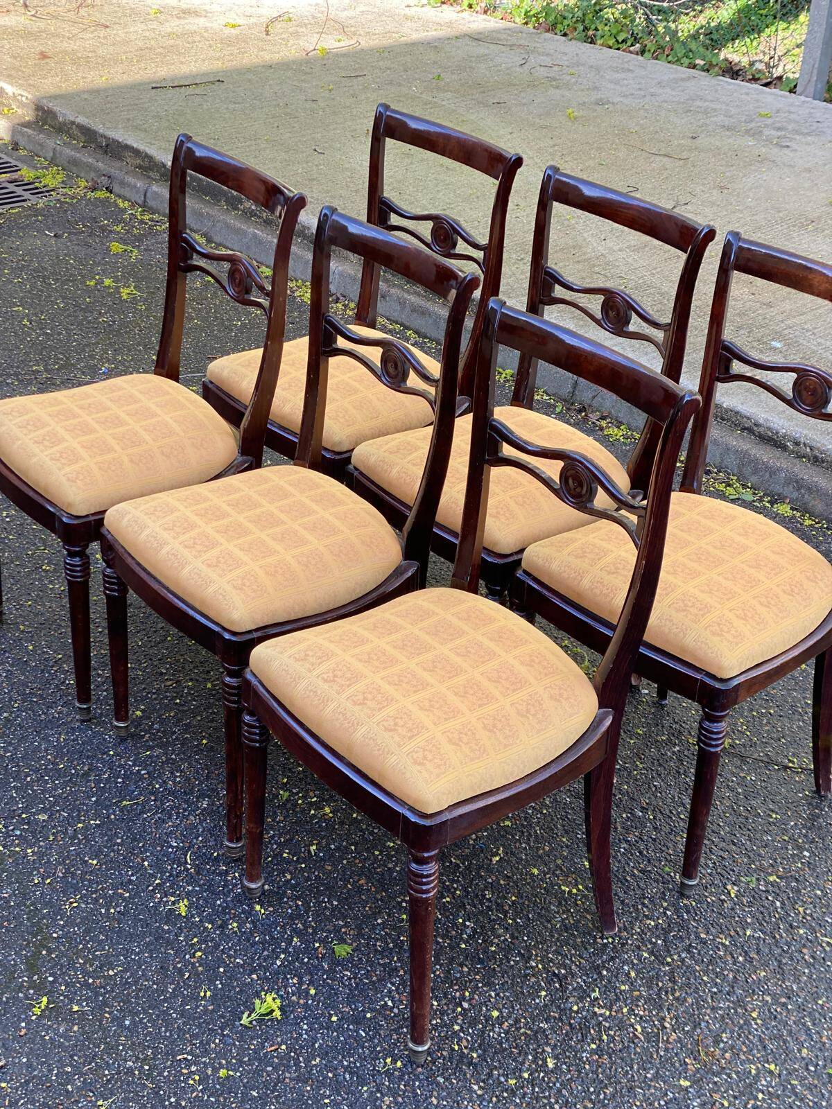 6 dining chairs made of solid mahogany in Regency style with yellow fabric.