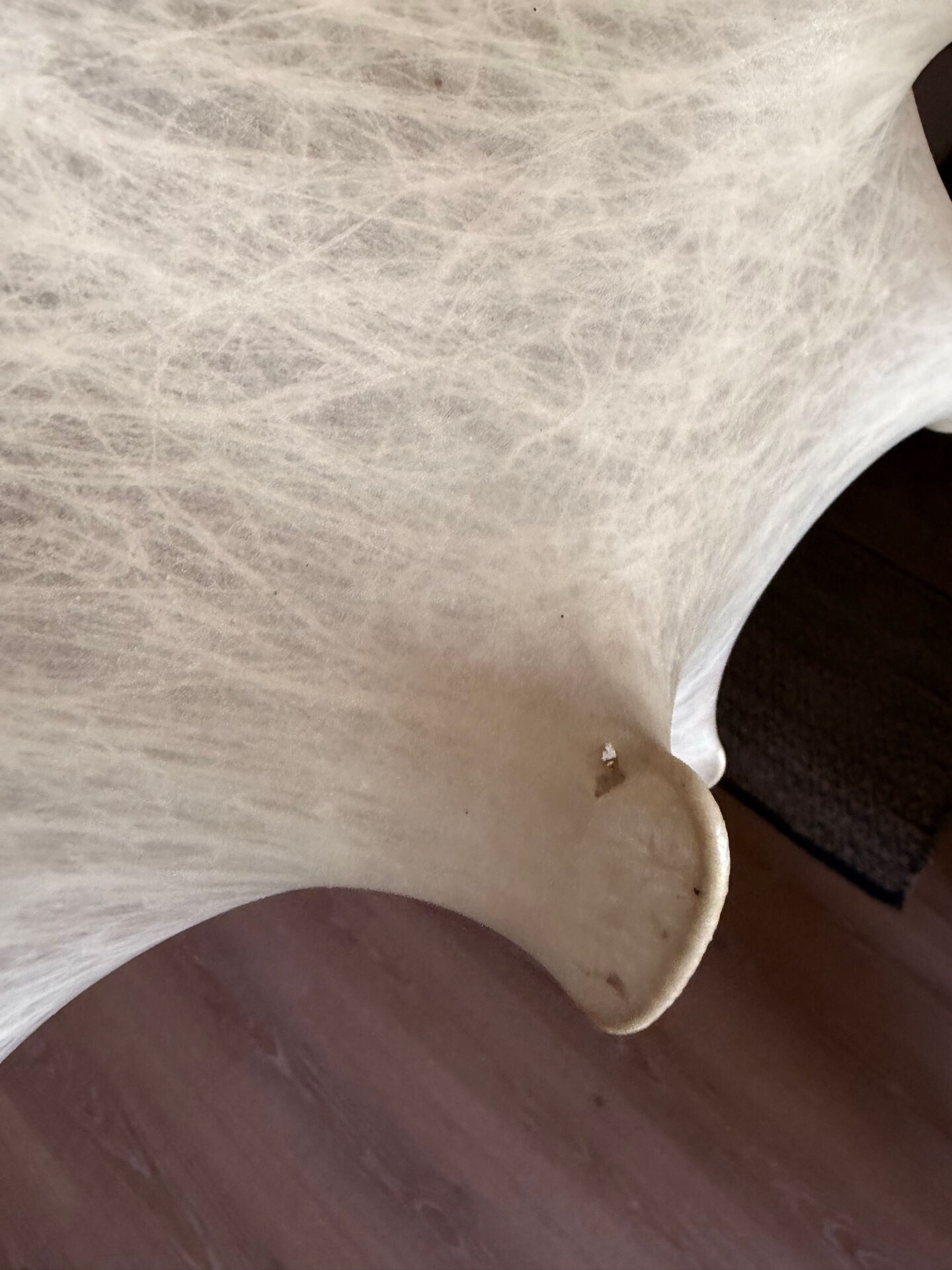 Suspension Flos taraxacum 2 par Achille Castiglioni