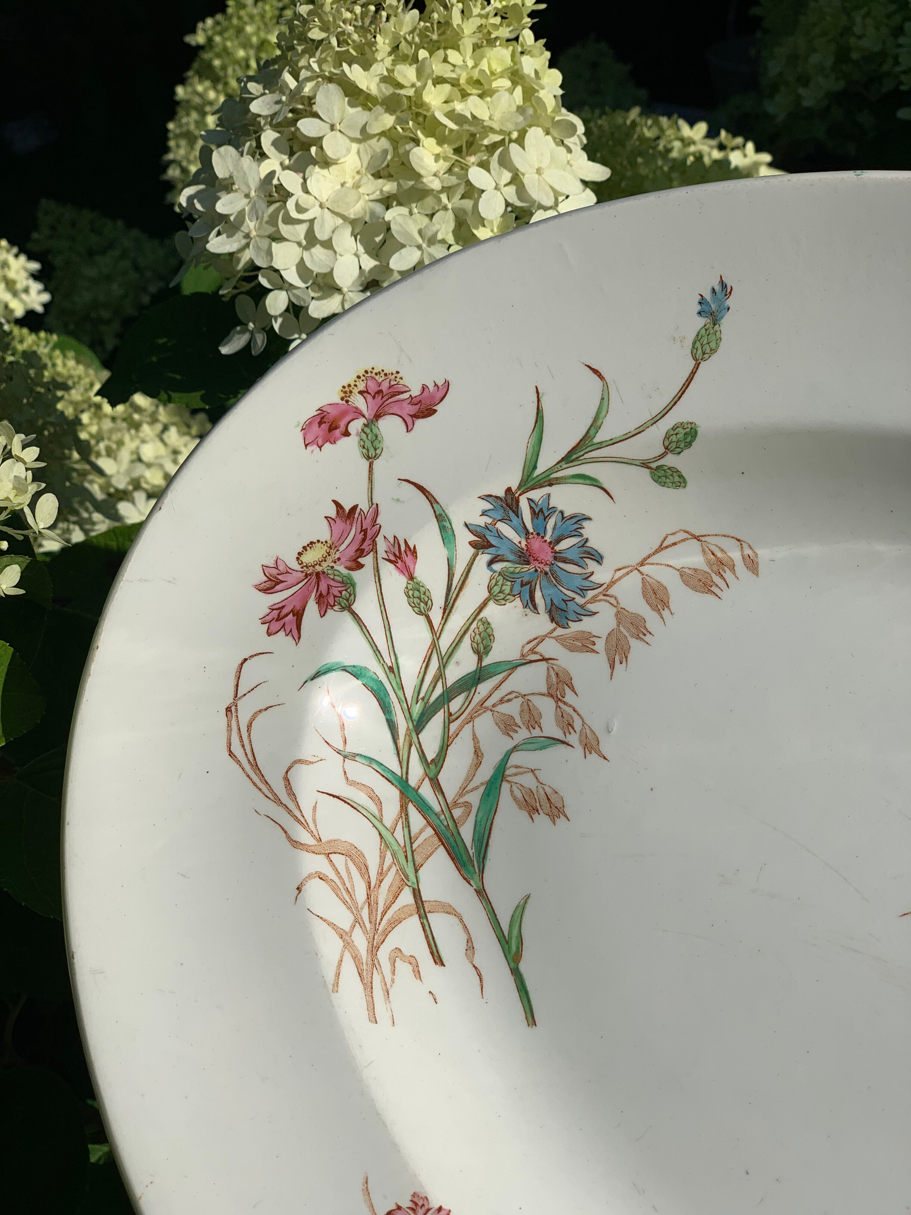 Old dish, earthenware, blueberry service Keller and Guérin Lunéville, Terre de Fer
