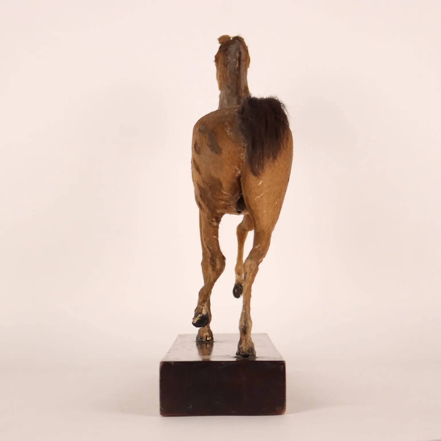 Horse sculpture by H. Fratin in wood, France, circa 1818.