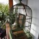 Cage à oiseaux