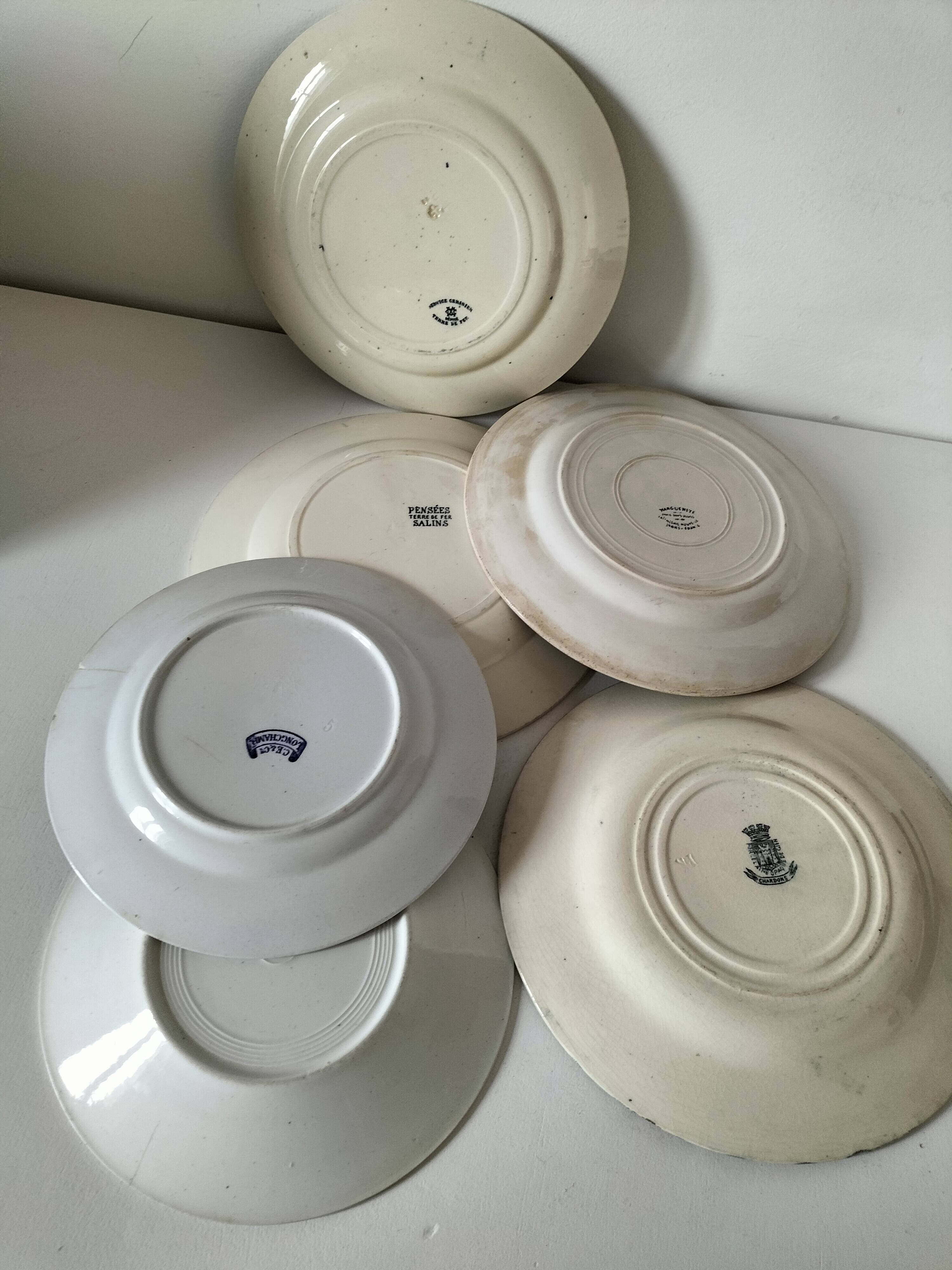 Set of 6 ironstone plates in shades of blue, late 19th to early 20th century.