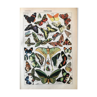 Vintage butterfly board 1922