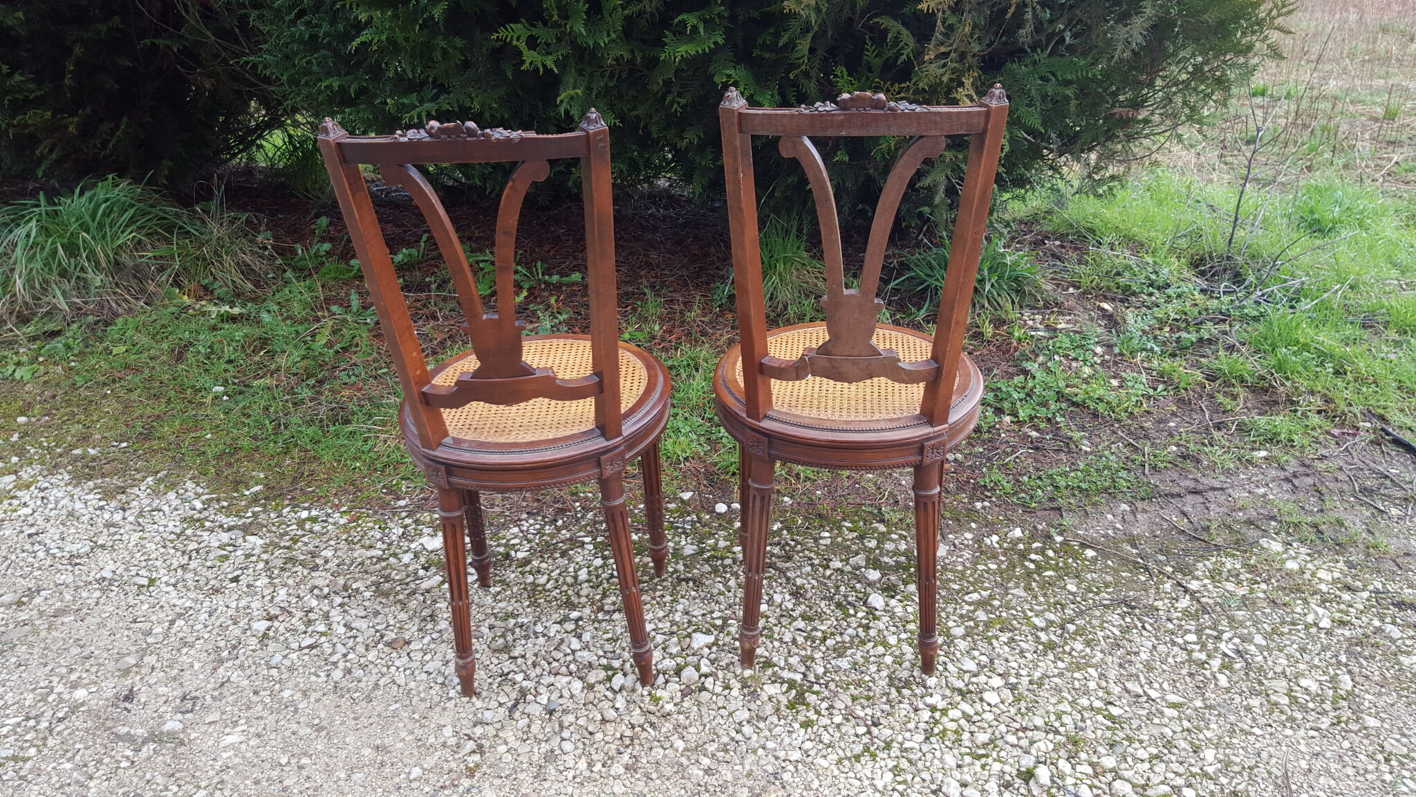 Pair of Louis XVI style walnut chairs