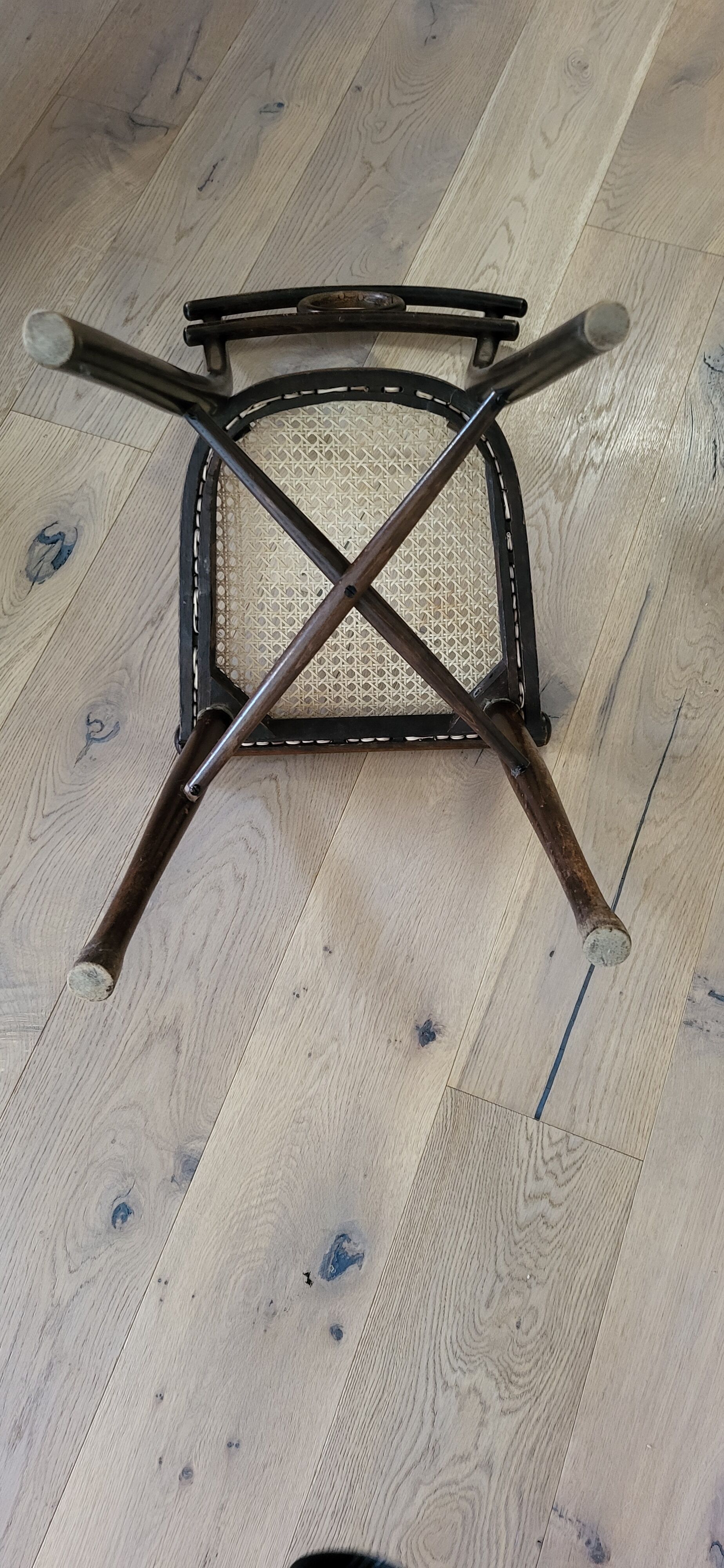 Thonet chairs