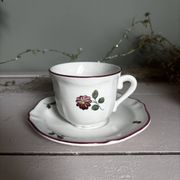Duo of cups and saucers Old Saint Amand