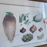 Vegetable painting