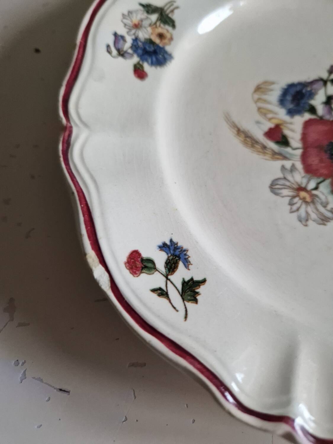 Set of 12 Sarreguemines Plates, Agreste Models