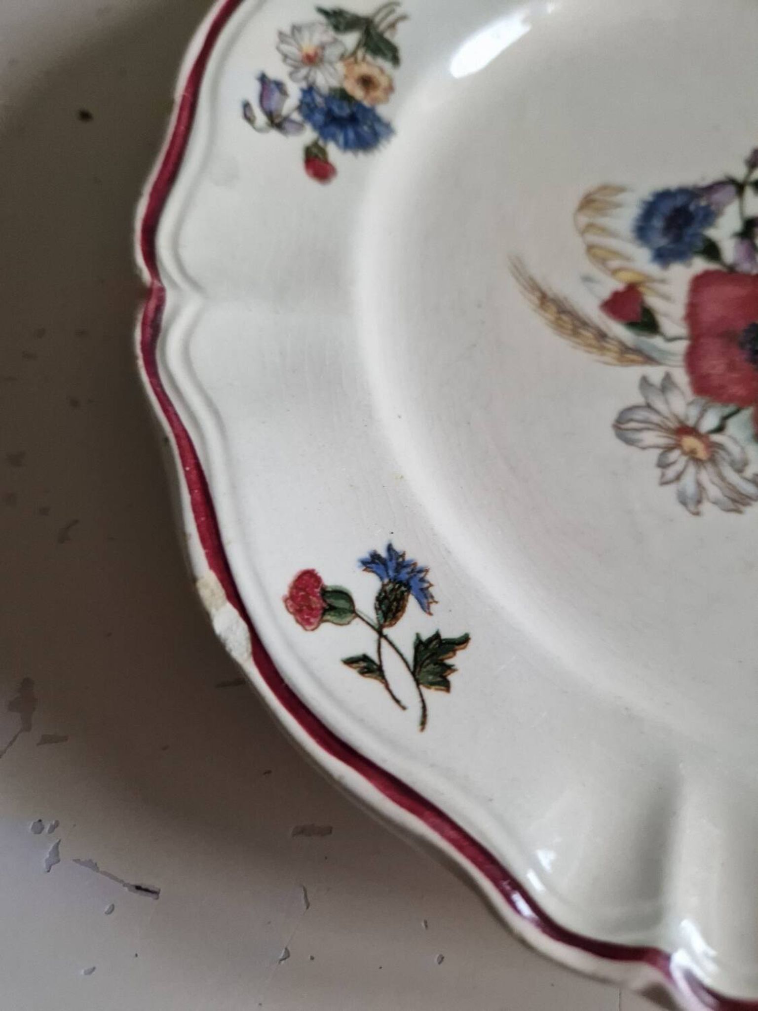 Set of 12 Sarreguemines Plates, Agreste Models