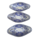 Raviers