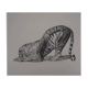 Paul Jouve: Tiger on its prey, original engraving