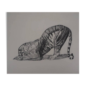 Paul Jouve: Tiger on its prey, original engraving