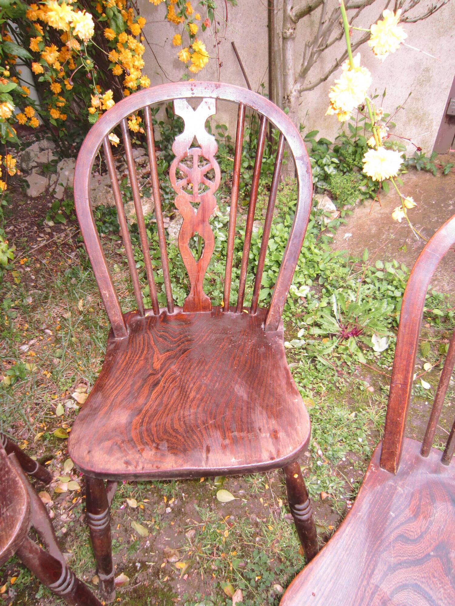 Suite of 4 chairs windsor english bistro
