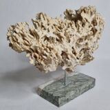 Antique White Coral on Grey Marble Base, 21 cm