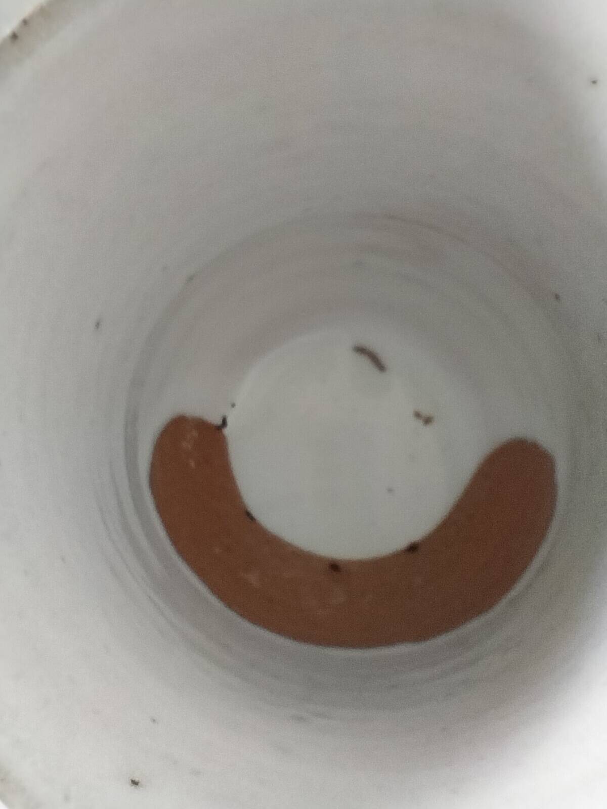 Rio stoneware cups Atelier Hurtault Puisaye