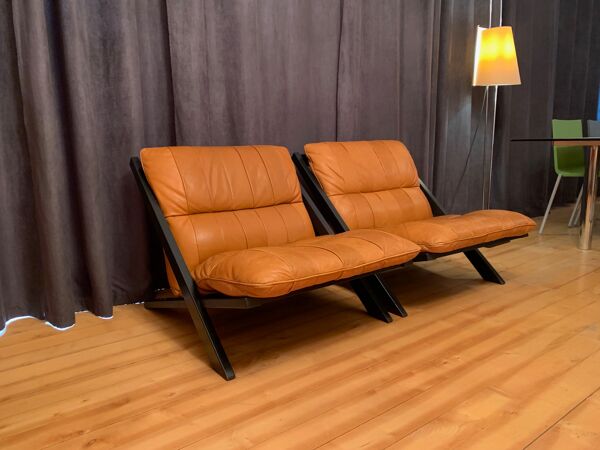 Paire de fauteuils par Ueli Berger, De Sede, Suisse, années 1970.