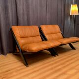 Paire de fauteuils par Ueli Berger, De Sede, Suisse, années 1970.