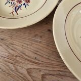 Deep plates x6 "Francine" Badonviller