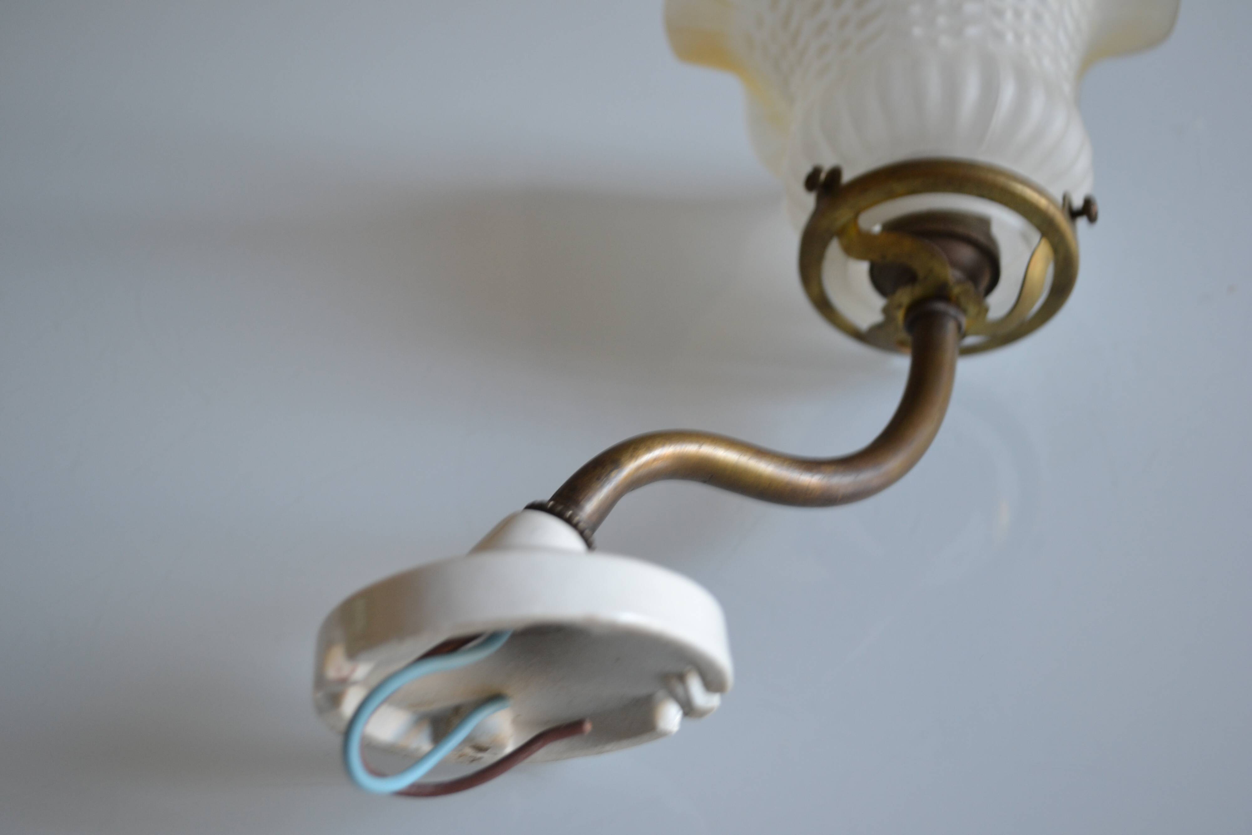 Swan neck wall lamp and its tulip, early 20th century.