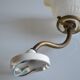 Swan neck wall lamp and its tulip, early 20th century.