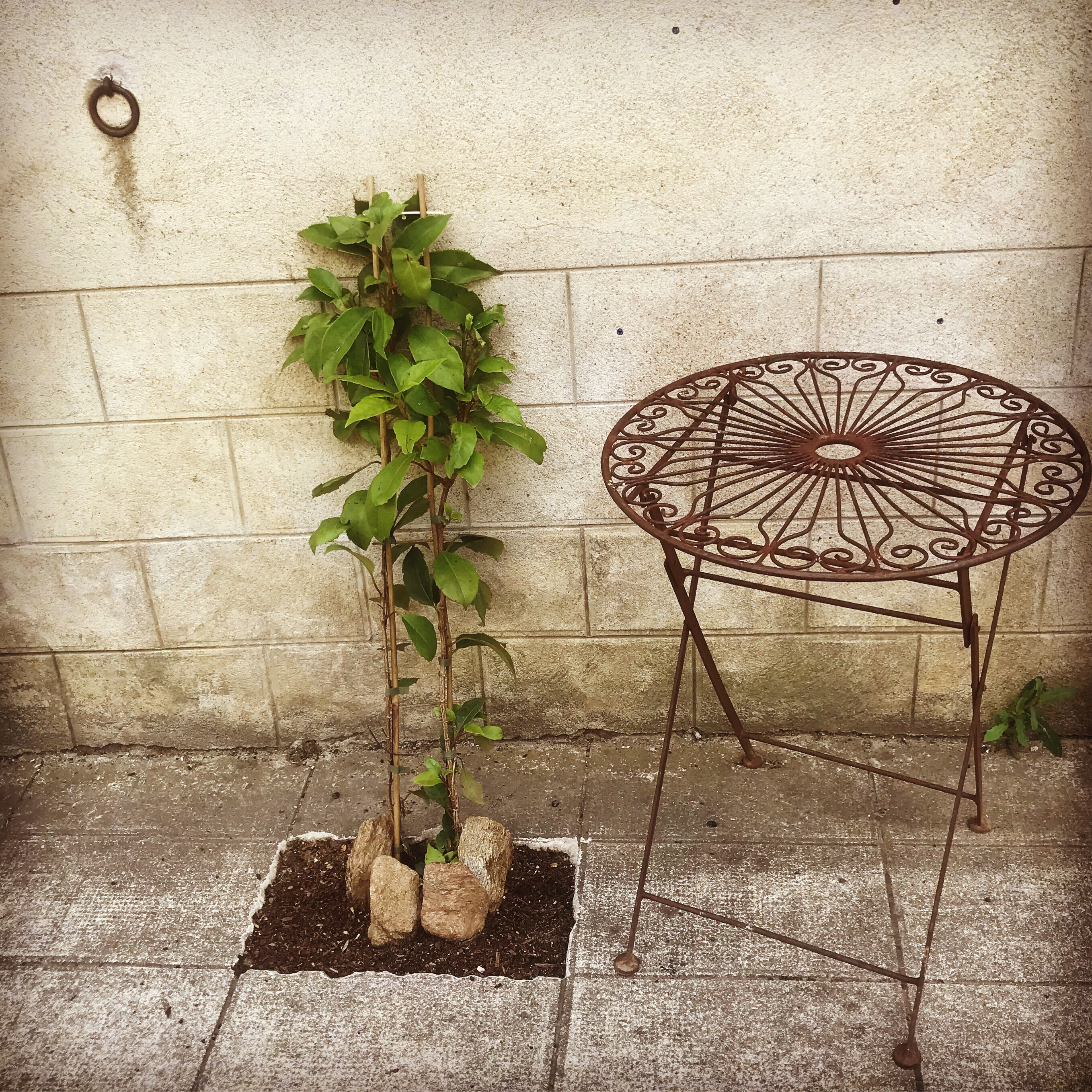 Ancient wrought iron pedestal table