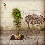 Ancient wrought iron pedestal table