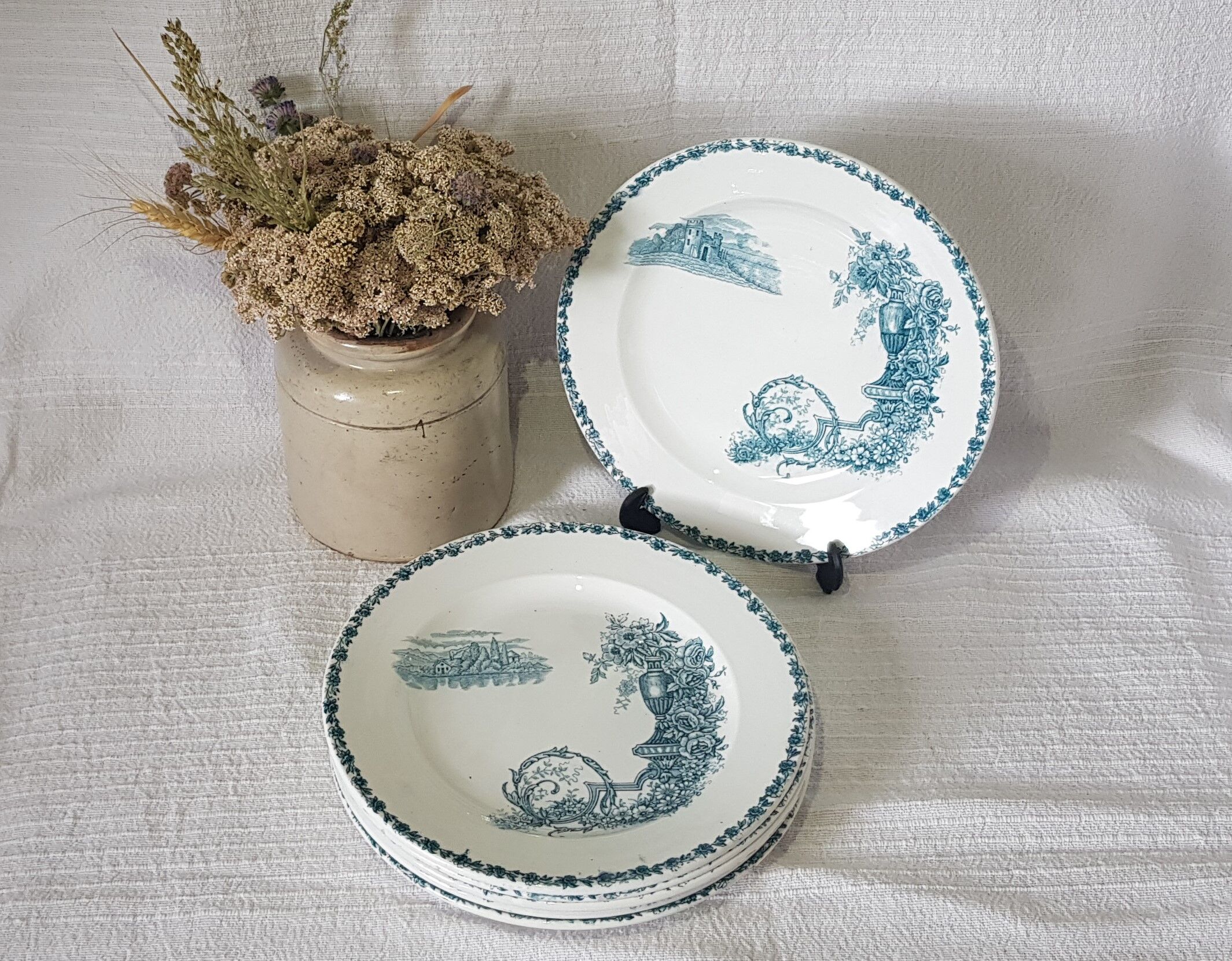6 flat plates made of Clairfontaine earthenware buffon model in iron earth
