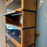 Antique Globe Wernicke Bookcase