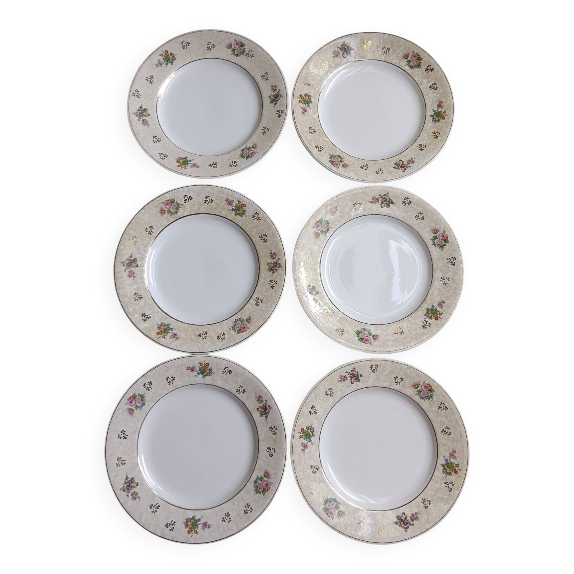 Set of 6 flat plates Salins model Simone beige with flowers.