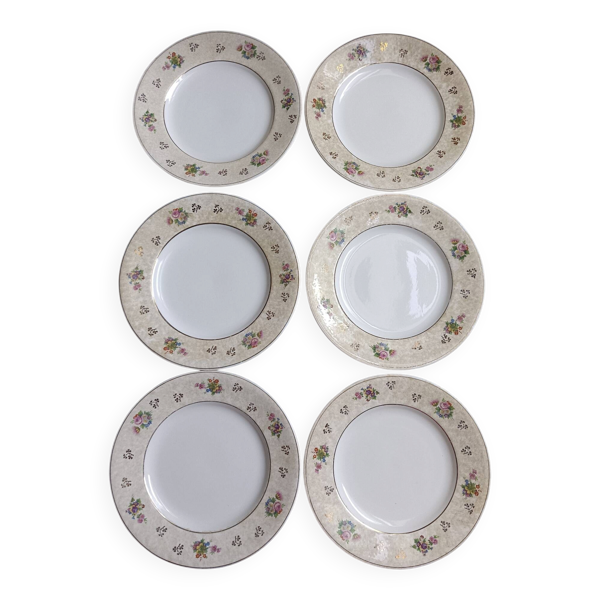 Lot de 6 assiettes plates salins modèle Simone beige à fleurs