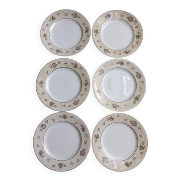 Set of 6 flat plates Salins model Simone beige with flowers.