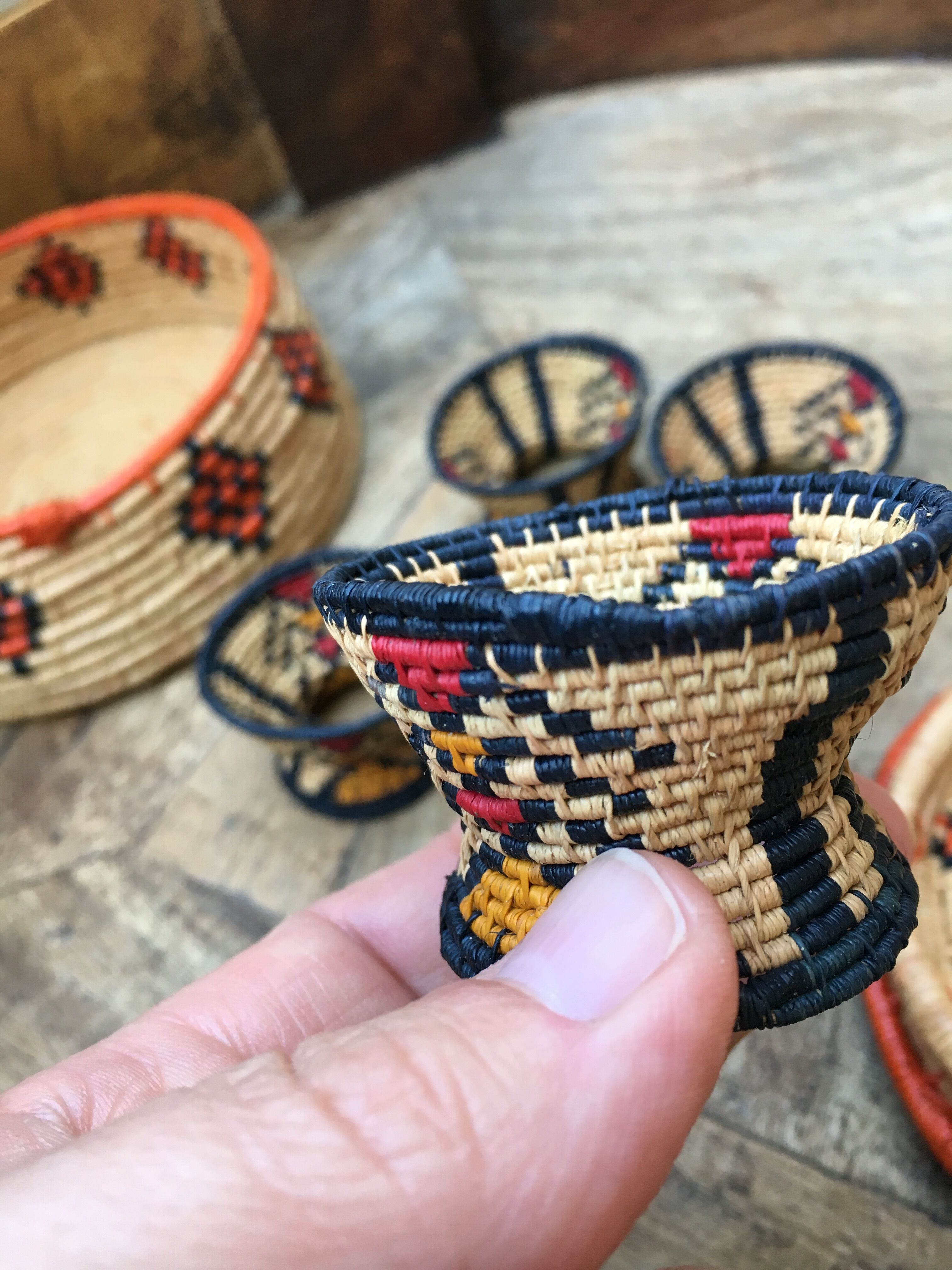 African lidbox and raffia cockroaches
