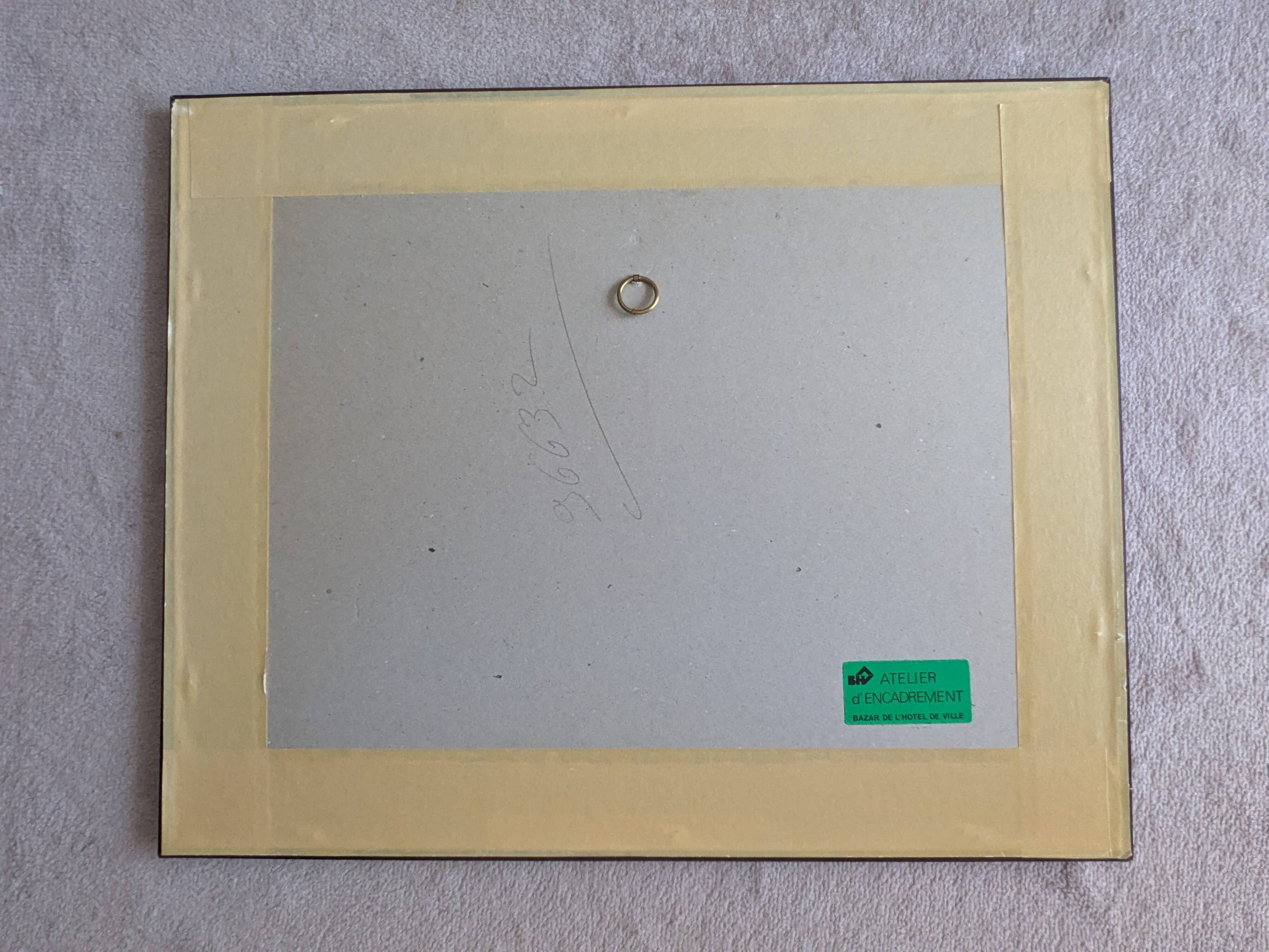 Vintage Framed Botanical Engraving