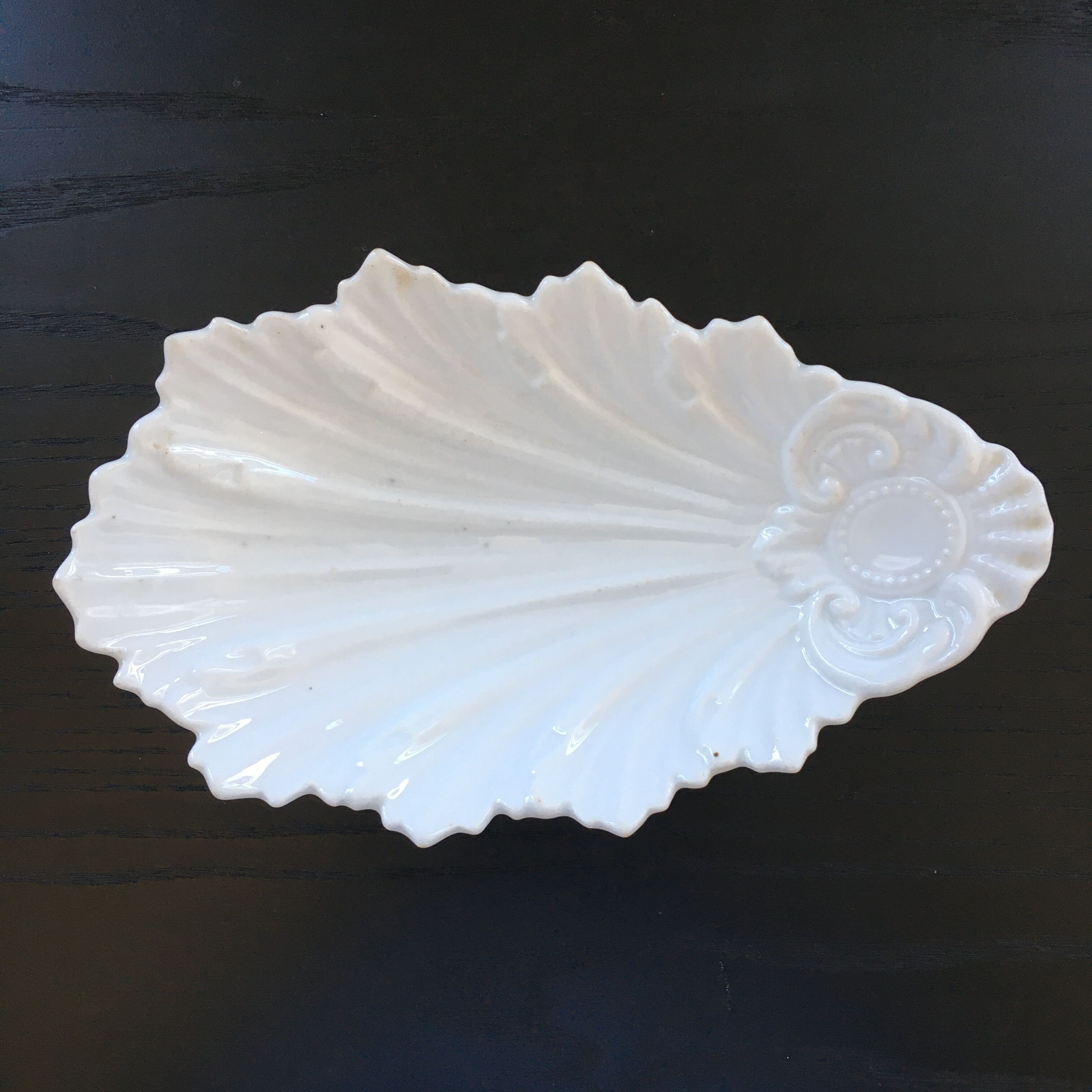 Empty white shell pocket