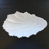 Empty white shell pocket