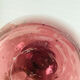 Ice pitcher carafe glassware Biot