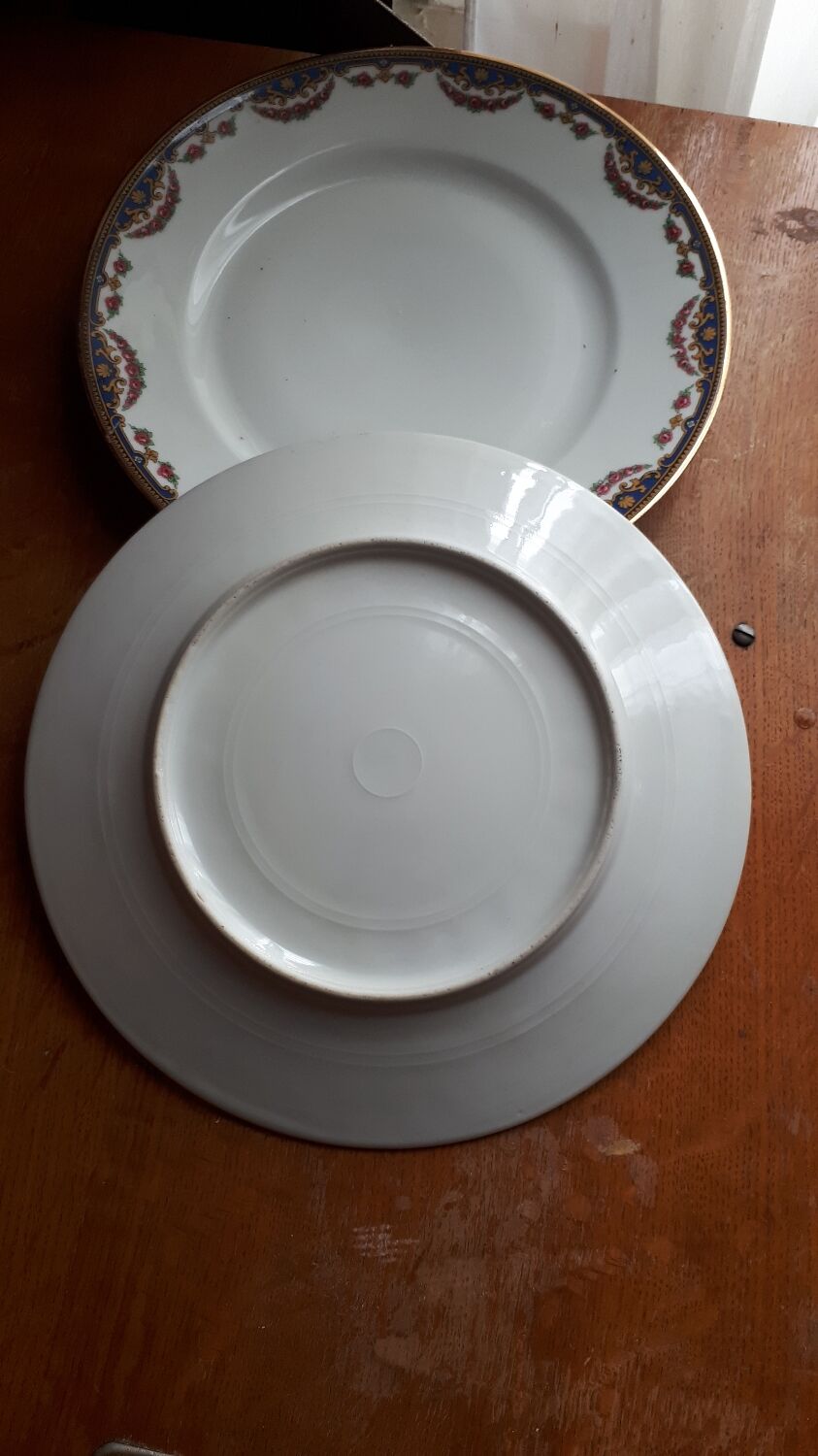 Pair of porcelain plates