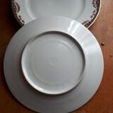 Pair of porcelain plates