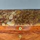 Precious wood secretary, Louis XV – Late 18th century