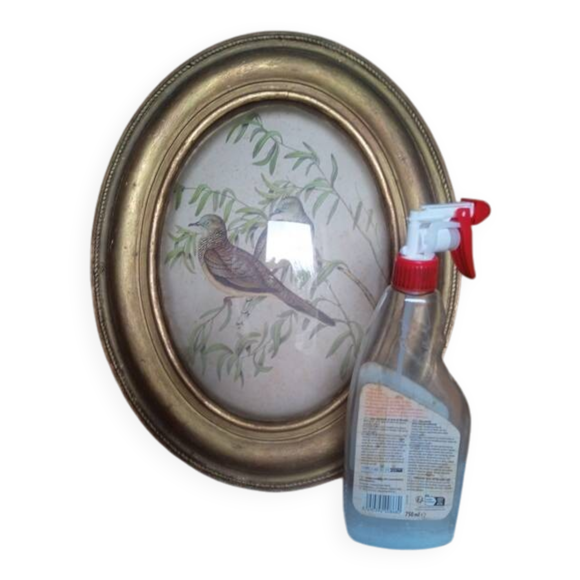 Antique oval curved glass frame 46/36c