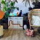 Buffet Mado vintage bottom rainbow