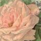 Paire de chromolithographies anciennes natures morte 1930/40