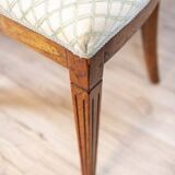 Vintage Elm Chairs in White Upholstery, 1950s, Set of 5