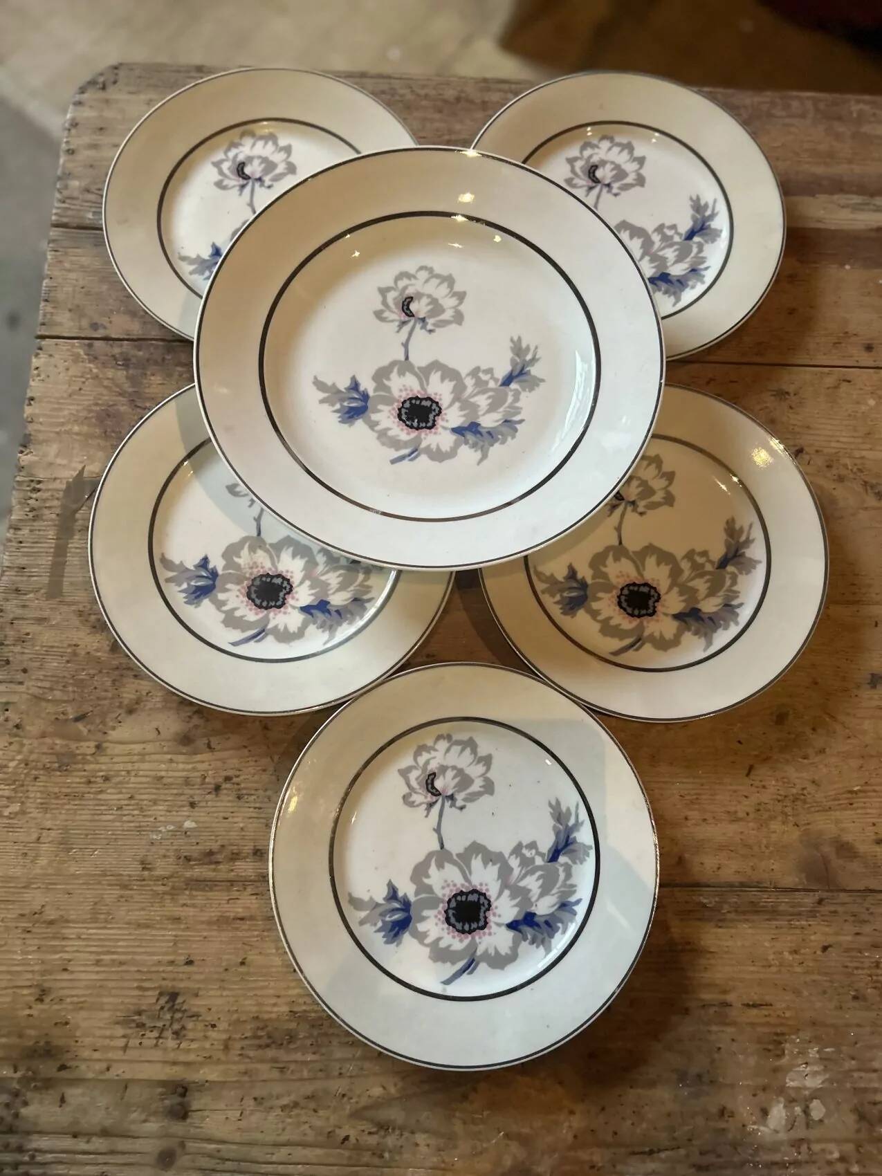 Set of 12 antique porcelain plates with anemone pattern + matching large plate 29.5 cm