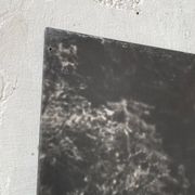 Ancienne photographie arbre noir et blanc XXL