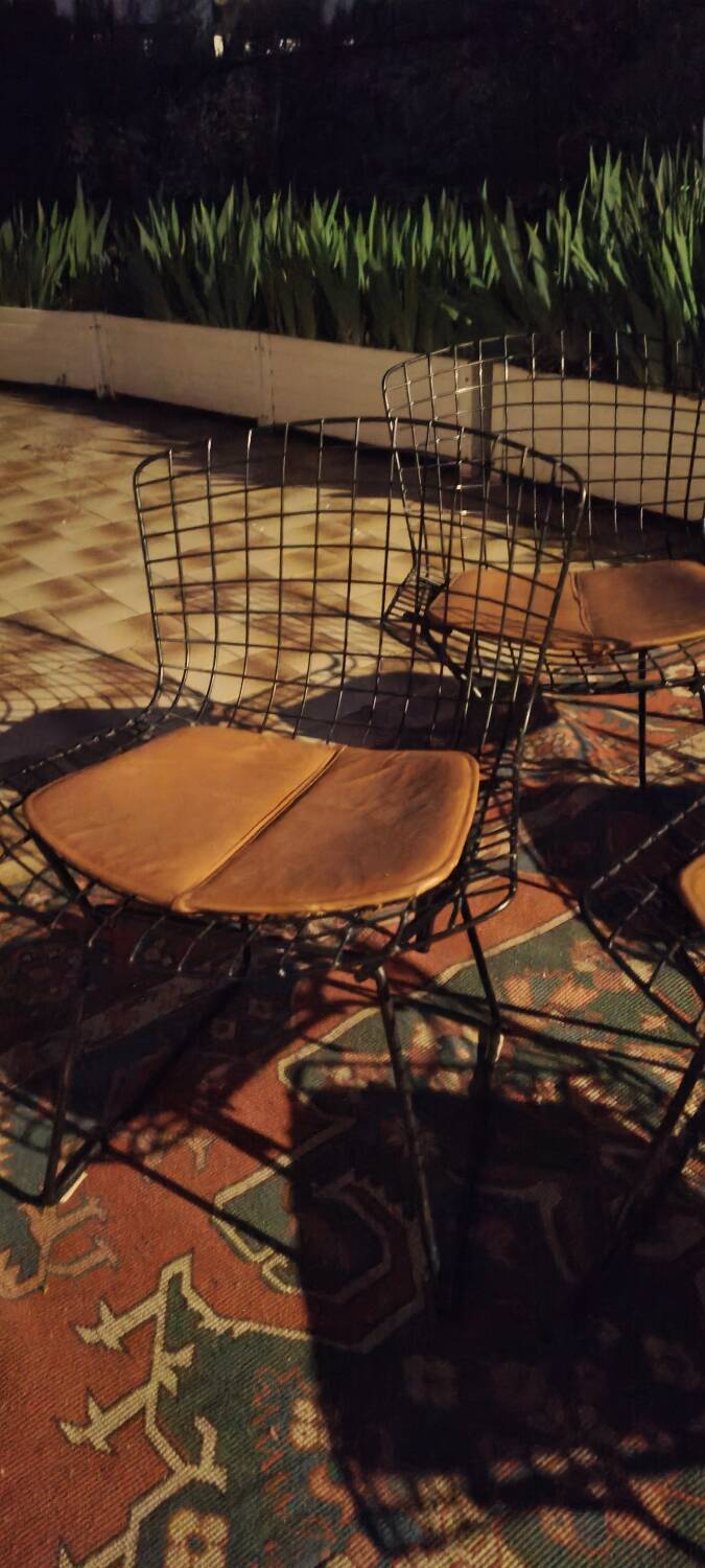 6 chaises Wire Harry Bertoia noires
