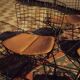 6 chaises Wire Harry Bertoia noires